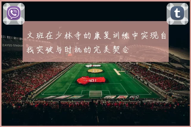 文班在少林寺的康复训练中实现自我突破与时机的完美契合